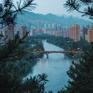 老年公司环境介绍